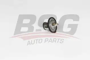 BSG 40126003 Termostat