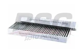 BSG 70145013 Polen Filtresi