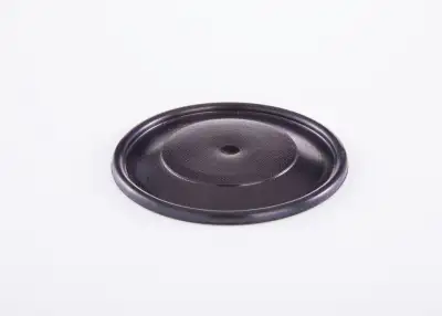 BOSCH 2420503002 Diyafram - 23. Görsel