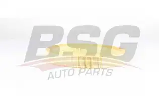 BSG 75135012 Hava Filtresi