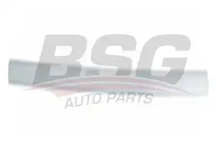 BSG 30924045 Kapı Bandı Takım