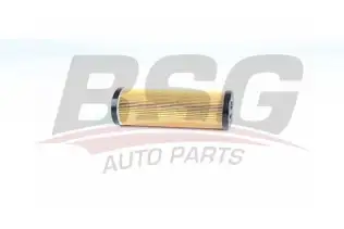 BSG 75140001 Yağ Filtresi