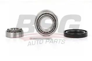 BSG 30600002 Porya Rulmanı Ön