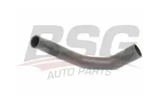 BSG 30720255 Radyatör Hortumu Üst