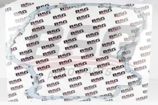 BSG 30116032 Eksantrik Kapak Contası