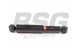 BSG 40300003 Amortisör Arka