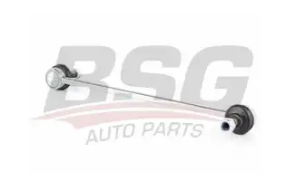BSG 15310098 Viraj Askı Rotu Ön