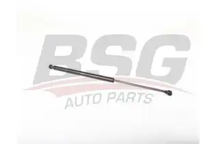 BSG 30980028 Bagaj Amortisörü