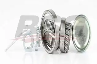 BSG 90605011 Teker Rulmanı Arka