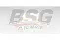 BSG 40145018 Polen Filtresi