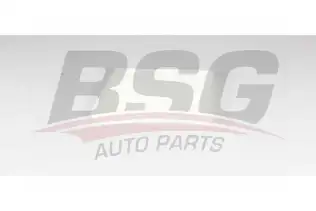 BSG 40145018 Polen Filtresi