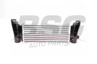BSG 30535004 Turbo Radyatörü