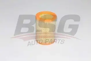 BSG 75135016 Hava Filtresi