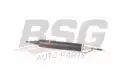 BSG 15300044 Amortisör Arka