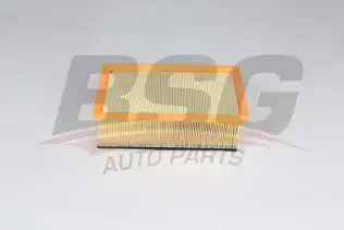 BSG 70135022 Hava Filtresi