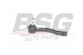BSG 60310067 Rot Orta