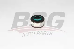 BSG 70130010 Yakıt Filtresi