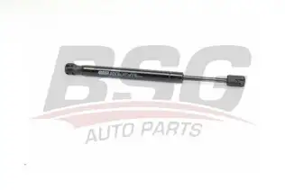 BSG 15980022 Motor Kaput Amortisörü
