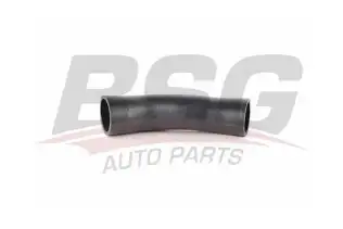 BSG 15720057 Turbo Hortumu