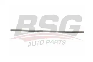 BSG 90924012 Kapı Bandı Ön Sağ