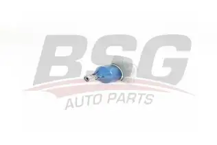 BSG 75310035 Rotil Alt