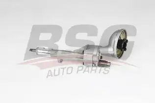 BSG 60101006 Yağ Pompası