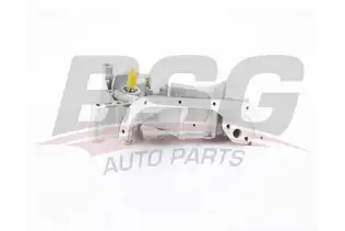 BSG 40101001 Yağ Pompası