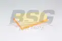 BSG 60135028 Hava Filtresi
