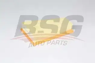 BSG 60135028 Hava Filtresi