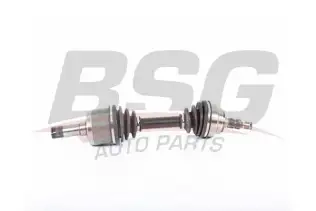 BSG 65350076 Aks Komple Ön Sol