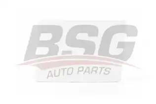BSG 30922058 Çeki Demir Kapağı Arka