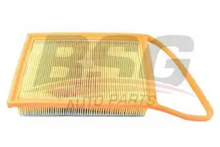 BSG 70135009 Hava Filtresi