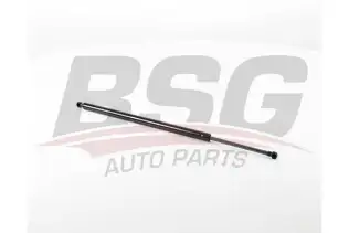 BSG 75980002 Bagaj Amortisörü