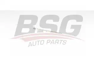 BSG 62870002 Isıtma Bujisi