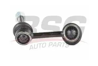 BSG 40310034 Viraj Askı Rotu Ön Sol