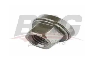 BSG 30230018 Bijon Somunu