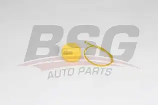 BSG 75123009 Motor Yağ Çubugu