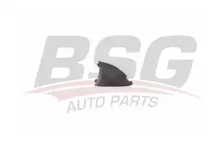 BSG 65922074 Sis Kapak Tapası Sağ