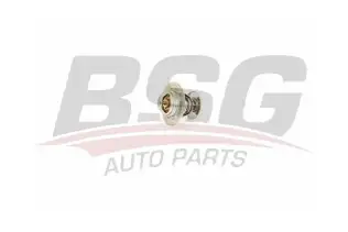 BSG 90125003 Termostat
