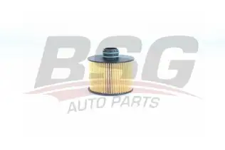 BSG 25140004 Yağ Filtresi