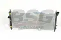 BSG 65520037 Su Radyatörü