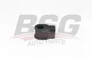 BSG 75700049 Viraj Demir Lastiği Ön