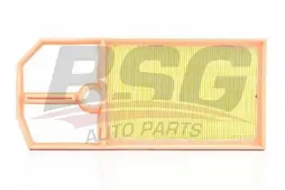 BSG 90135008 Hava Filtresi