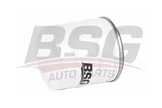 BSG 65140002 Yağ Filtresi