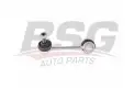 BSG 40310118 Viraj Askı Rotu Arka