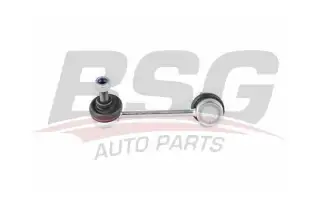 BSG 40310118 Viraj Askı Rotu Arka