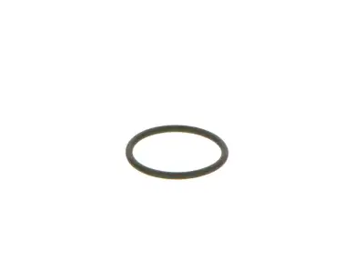 BOSCH 2440210039 Lastik - 12. Görsel
