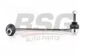BSG 15310063 Viraj Askı Rotu Ön Sol