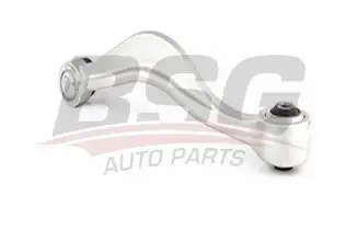BSG 15315005 Salıncak Ön Sağ