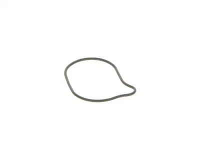BOSCH 2440210028 O-Ring - 10. Görsel